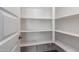 Large walk-in pantry with ample shelving at 3943 E Canyon Pl, Chandler, AZ 85249