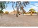 Large backyard with gravel and a mature tree at 7341 E Sutton Dr, Scottsdale, AZ 85260