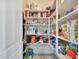 Large pantry with adjustable shelving, offering excellent storage solutions at 27486 N 89Th Dr, Peoria, AZ 85383