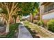 Lush community grounds feature a sidewalk and mature trees near multi-story tan condos with upper-level balconies at 5525 E Thomas Rd # N1, Phoenix, AZ 85018