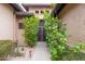 Inviting entryway with lush greenery, a metal gate, and a well-lit pathway at 7953 S Dateland Dr, Tempe, AZ 85284