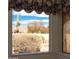 Picturesque window view showcasing lush desert landscaping, mature trees, and a glimpse of the mountains at 8598 E Saguaro Blossom Rd, Gold Canyon, AZ 85118