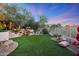 Artificial turf lawn with a water feature and mature trees at 1535 E Calavar Dr, Phoenix, AZ 85022