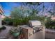 Built-in outdoor grill with stone countertop and surrounding plants at 1535 E Calavar Dr, Phoenix, AZ 85022