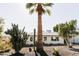 Charming single-story home with desert landscaping and a large palm tree at 837 E Echo Ln, Phoenix, AZ 85020