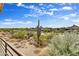 Enjoy stunning views of the golf course and desert landscape at 10260 E White Feather Ln # 2035, Scottsdale, AZ 85262