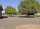 Spacious backyard with gravel ground cover and several citrus trees at 18609 N Kiva Dr, Sun City, AZ 85373