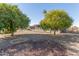 Large backyard with mature citrus trees at 18609 N Kiva Dr, Sun City, AZ 85373