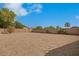 Large backyard with block wall and desert landscaping at 2494 E Dulcinea Trl, Casa Grande, AZ 85194