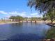 Scenic community pond with a decorative water feature, lush trees, and clear blue skies at 37028 W Prado St, Maricopa, AZ 85138