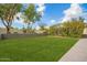 Large grassy backyard with mature trees at 2090 E Coconino Ct, Gilbert, AZ 85298