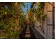 Romantic garden path with string lights and lush greenery at 6262 N 85Th St, Scottsdale, AZ 85250