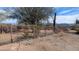 Landscaped backyard with a metal fence and mountain views at 30247 N 164Th St, Scottsdale, AZ 85262