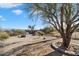 Landscaped backyard with a large tree and seating area at 30247 N 164Th St, Scottsdale, AZ 85262