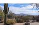 Backyard view with a cactus, seating area, and mountain backdrop at 30247 N 164Th St, Scottsdale, AZ 85262