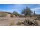 Tan house with a fenced backyard and desert landscaping at 30247 N 164Th St, Scottsdale, AZ 85262