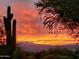 Scenic sunset view with mountains in the background at 30247 N 164Th St, Scottsdale, AZ 85262