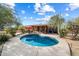 Charming home with a kidney-shaped pool and patio at 30247 N 164Th St, Scottsdale, AZ 85262