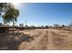 Large open backyard with a dirt ground, surrounded by a wooden fence, and trees at 3740 E Edna Ave, Phoenix, AZ 85032