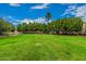 Beautiful backyard with expansive grassy area and mature trees at 3835 E Leland St, Mesa, AZ 85215