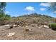 Backyard featuring desert landscaping, mature plants, rock feature, and mountain views at 20436 N 17Th Pl, Phoenix, AZ 85024