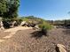 Landscaped backyard with rocks, plants, stepping stones, and a unique tiered waterfall at 20436 N 17Th Pl, Phoenix, AZ 85024