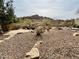 Beautiful backyard featuring desert landscaping with stone accents, water feature, and mountain views at 20436 N 17Th Pl, Phoenix, AZ 85024