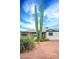 Updated mid-century home with a large front yard and saguaro cacti at 1721 S Shafer Dr, Tempe, AZ 85281