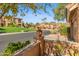 Landscaped front yard view of a home with a tree and a pot of flowers at 10653 N 10Th Pl, Phoenix, AZ 85020