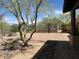 Outdoor basketball court perfect for recreation and staying active at home at 33296 N Vanishing Trl, Scottsdale, AZ 85266