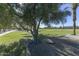 Park view featuring a large tree and playground in background at 4034 E Osborn Rd, Phoenix, AZ 85018