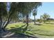 Park with playground, grassy areas, and mature trees at 4034 E Osborn Rd, Phoenix, AZ 85018