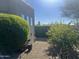 Landscaped backyard with gravel, a small tree, and a storage shed at 12646 N 17Th Pl, Phoenix, AZ 85022