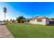 Charming home with solar panels, lush lawn, and a mature palm tree at 142 W Ivanhoe Pl, Chandler, AZ 85225