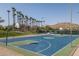 Community basketball court surrounded by palm trees, perfect for outdoor recreation at 15312 S 181St Dr, Goodyear, AZ 85338