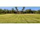 Expansive lawn with manicured grass, trees, and charming building in background creates a grand sense of arrival at 2135 N Heritage St, Buckeye, AZ 85396
