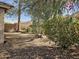 Landscaped backyard with gravel and desert plants at 17475 W Caribbean Ln, Surprise, AZ 85388