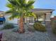 Single-story house with a landscaped front yard, driveway, and two-car garage at 17475 W Caribbean Ln, Surprise, AZ 85388