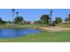 Golf course with water features and palm trees at 9048 E Cedar Waxwing Dr, Sun Lakes, AZ 85248