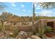 Landscaped backyard with desert plants and a metal fence, offering privacy and views at 9250 E Whitethorn Cir, Scottsdale, AZ 85266