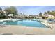 Community pool with lounge chairs and umbrellas at 13613 W Cypress St, Goodyear, AZ 85395
