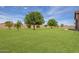 Expansive backyard featuring a grassy lawn and several trees at 18654 W Solano Dr, Litchfield Park, AZ 85340