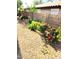 This backyard features colorful roses and stone landscaping at 19406 N 31St Way, Phoenix, AZ 85050