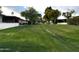 Landscaped lawn with mature trees and pathways between homes at 6056 E Harvard St, Scottsdale, AZ 85257