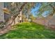 Spacious backyard with grassy lawn, mature trees, and storage shed at 6002 N 5Th Pl, Phoenix, AZ 85012
