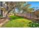Private backyard with grassy area and wooden gate at 6002 N 5Th Pl, Phoenix, AZ 85012