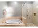Bathroom with large soaking tub and walk-in shower at 15419 E Stardust Dr, Fountain Hills, AZ 85268