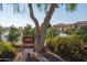 Lake Sommo sign; no swimming allowed at 16731 S 181St Ave, Goodyear, AZ 85338