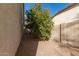 Landscaped side yard with mature orange tree at 2921 E Lexington Ave, Gilbert, AZ 85234