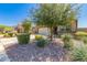 Home exterior featuring desert landscaping with mature trees and bushes, and a spacious driveway at 303 W Mammoth Cave Dr, San Tan Valley, AZ 85140